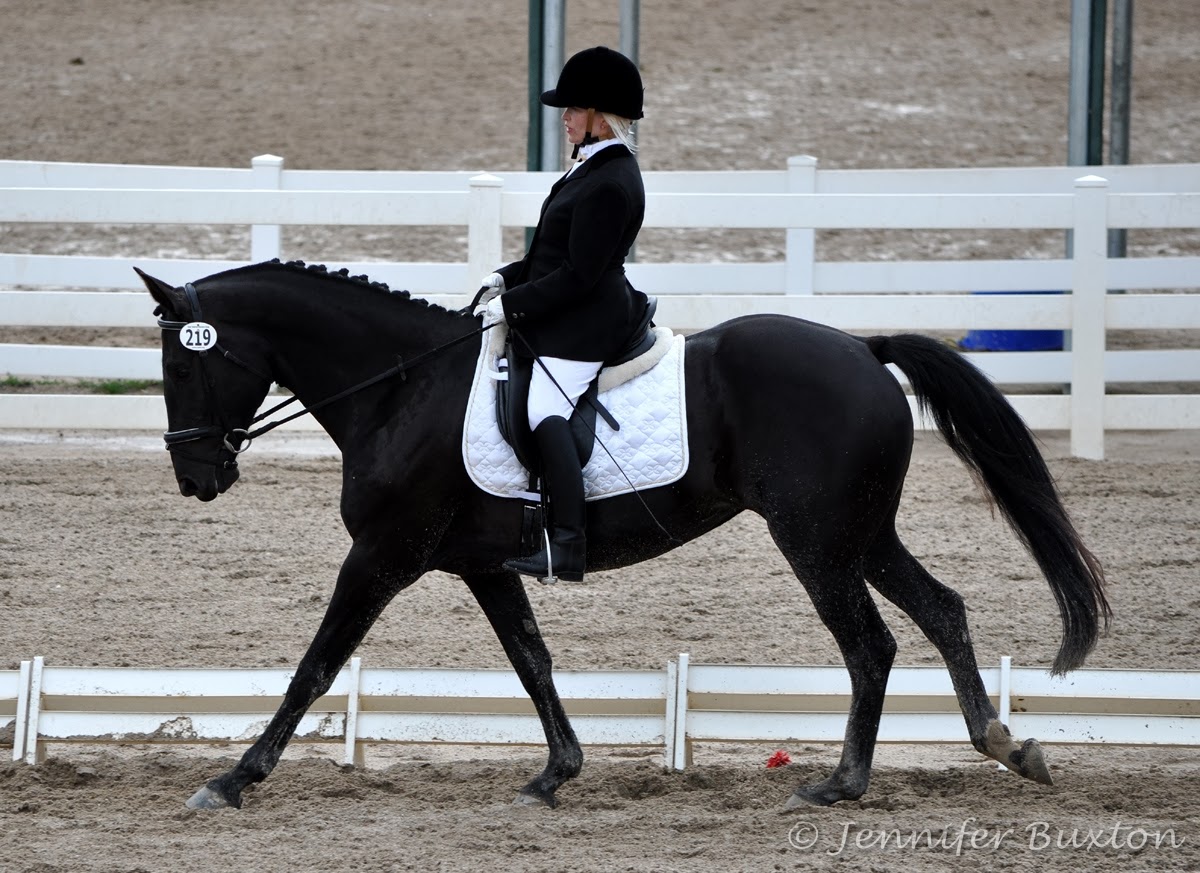 Braymere Custom Saddlery Canter leads