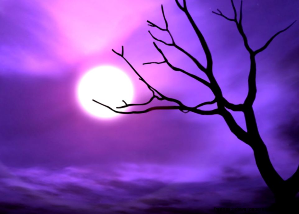 Cool Wallpapers HD Widescreen For Desktop Mobile Iphone windowns7 Cool Wallpapers HD Widescreen For Desktop Mobile Iphone windowns7