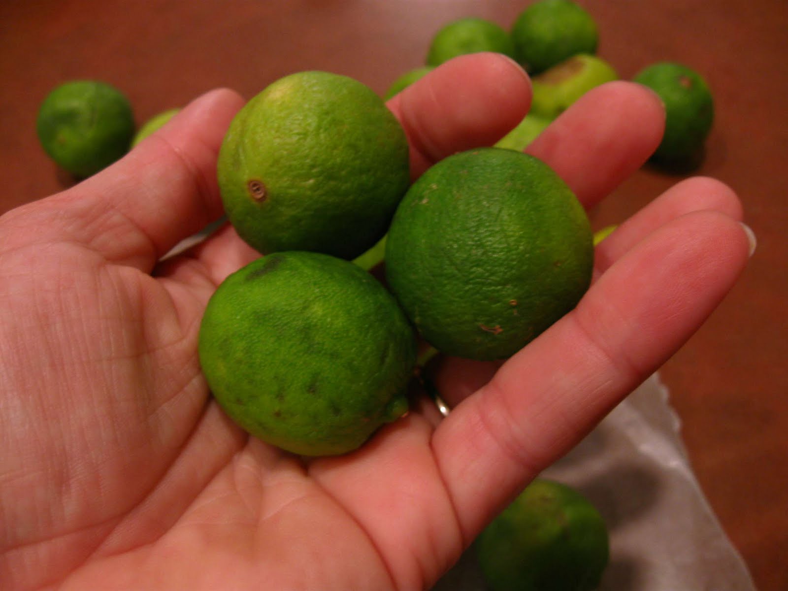 Cooking From Scratch Key Lime Pie