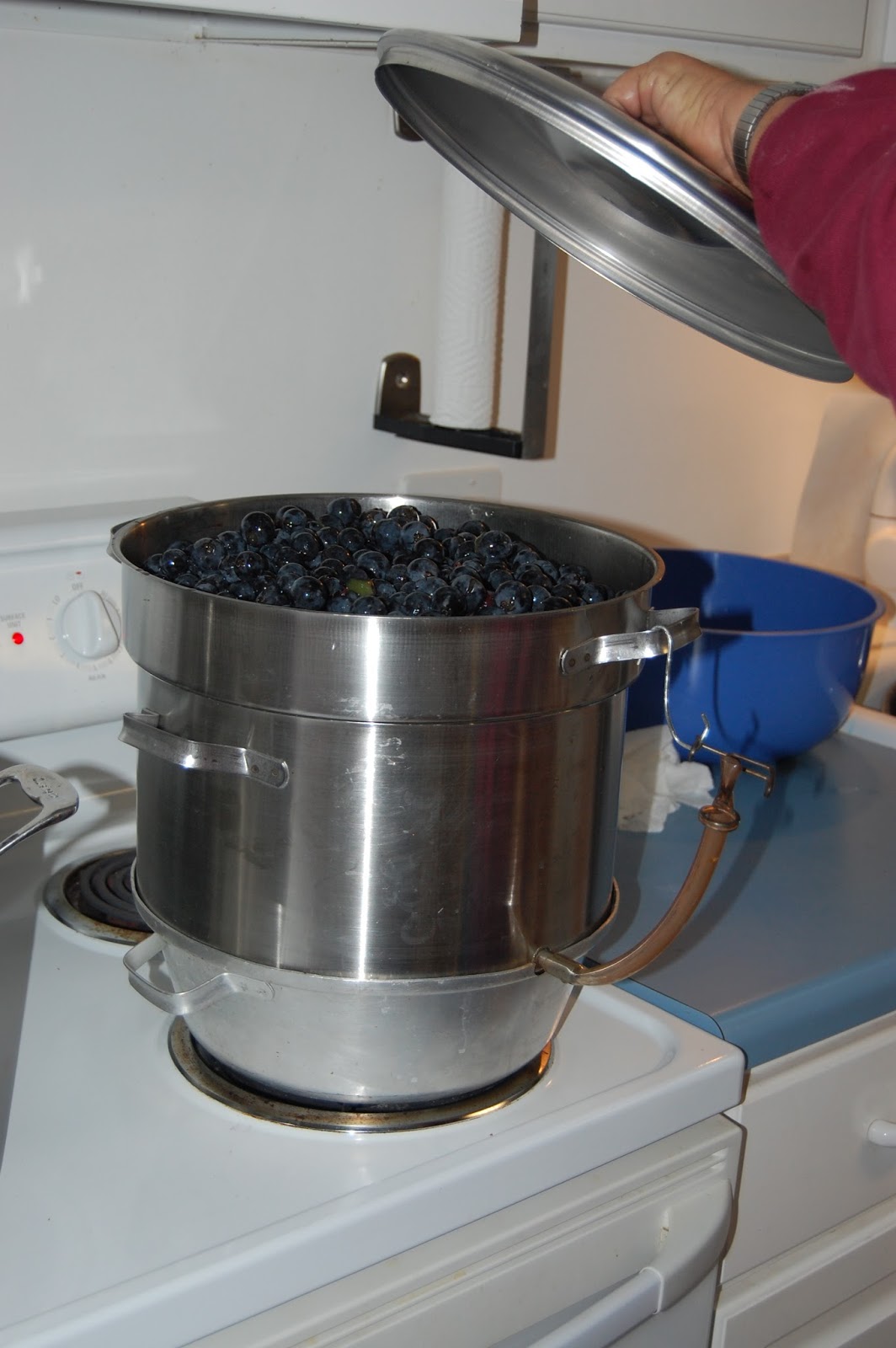 Cook! Create! Consume! Make and bottle your own grape juice