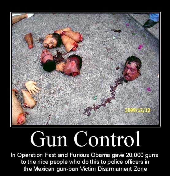 [Image: gun_control_obama_fast_and_furious_demot..._heads.jpg]
