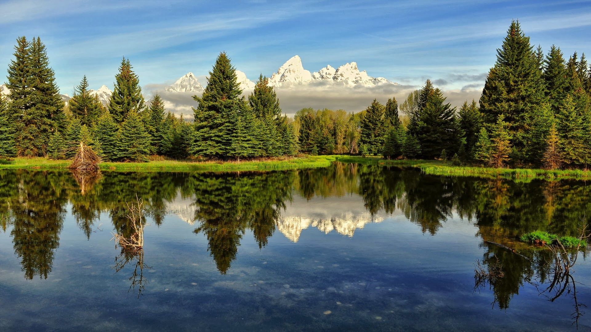 Nature scenery lake trees water reflection High Definition Wallpapers