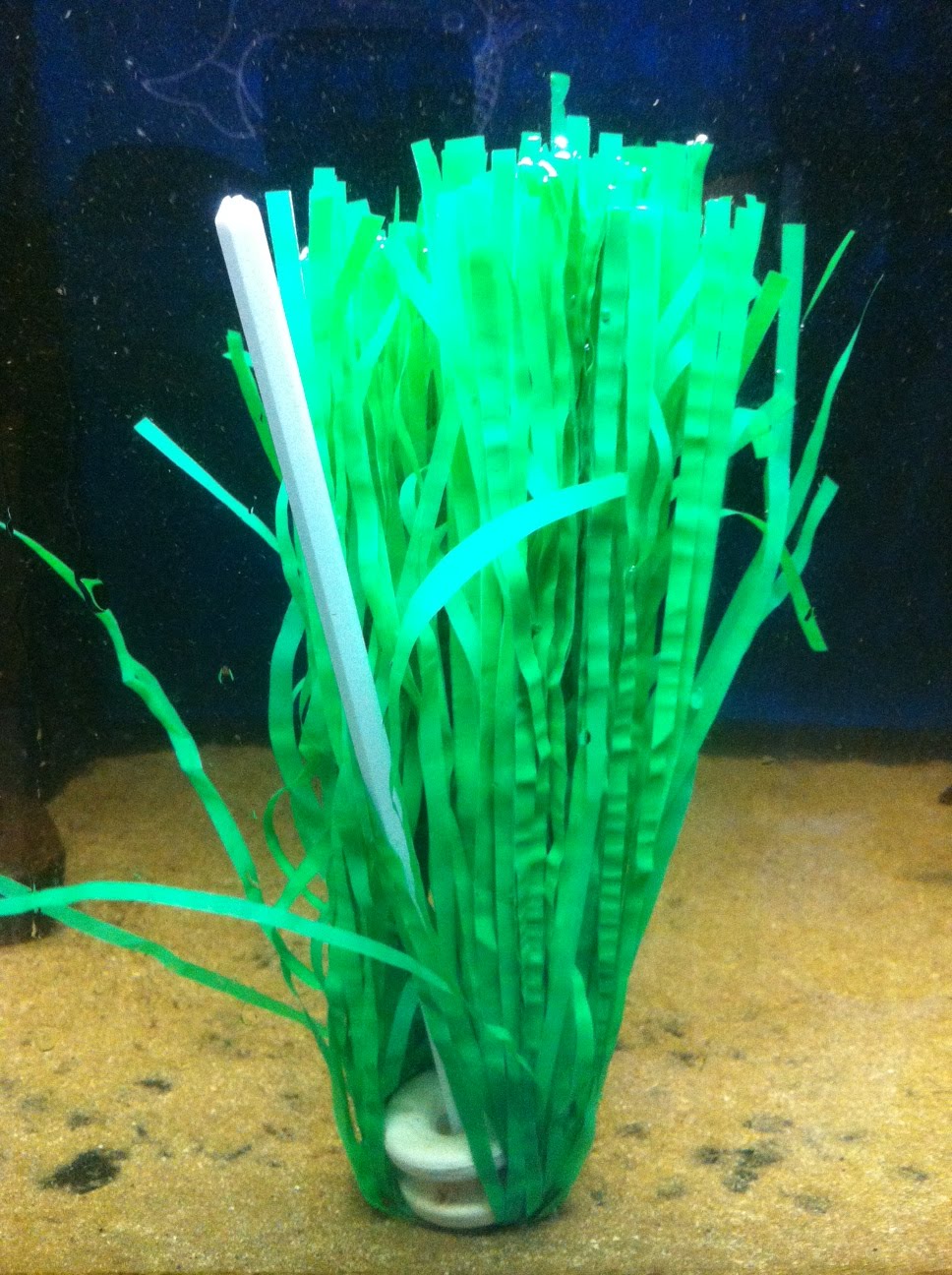 Green Poly Shaker Spawning Mop Site for Goldfish Keepers