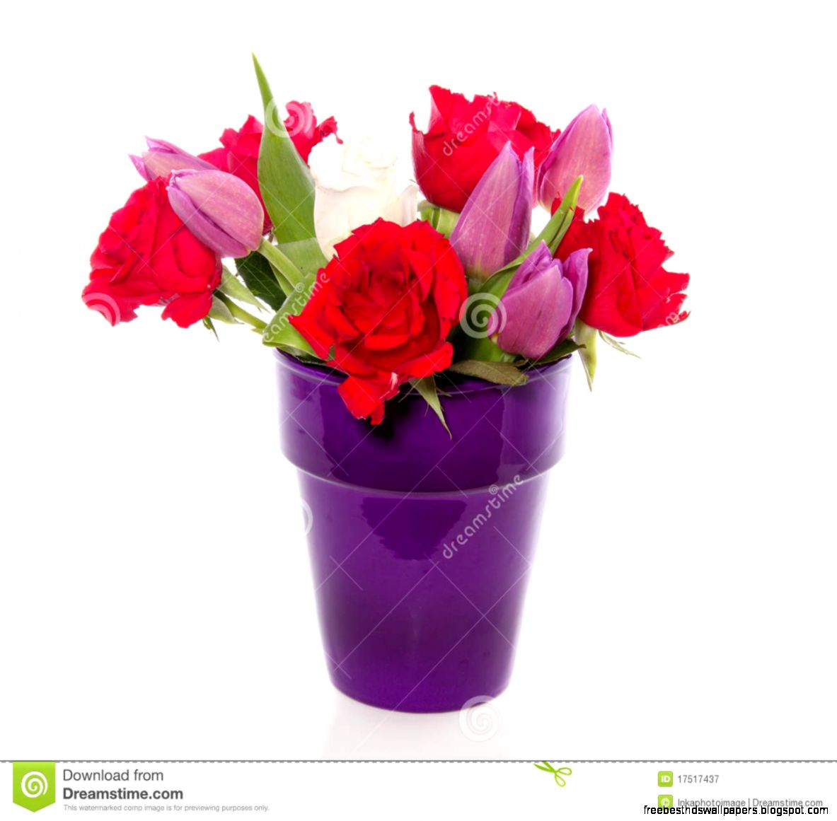 Red Roses And Purple Tulips Royalty Free Stock Photography Image Red Roses And Purple Tulips Royalty Free Stock Photography Image