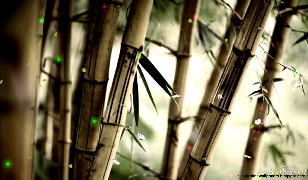 Download Free Fantastic Nature Animated Wallpaper Fantastic Download Free Fantastic Nature Animated Wallpaper Fantastic