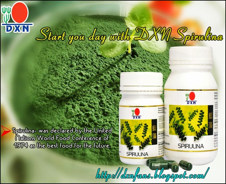 to the DXN Fans Blog