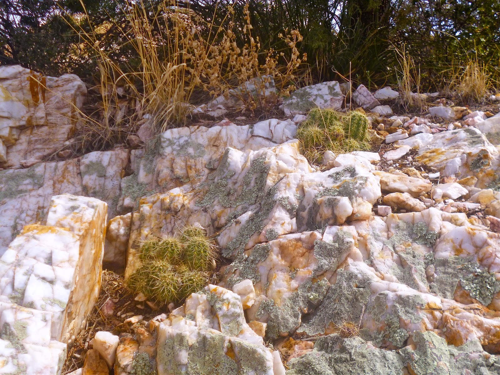 The travelings of Gary Smith Hiking up Quartz Mountain Prescott Arizona.
