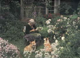Rise Above Your Limits: Tasha Tudor's Garden
