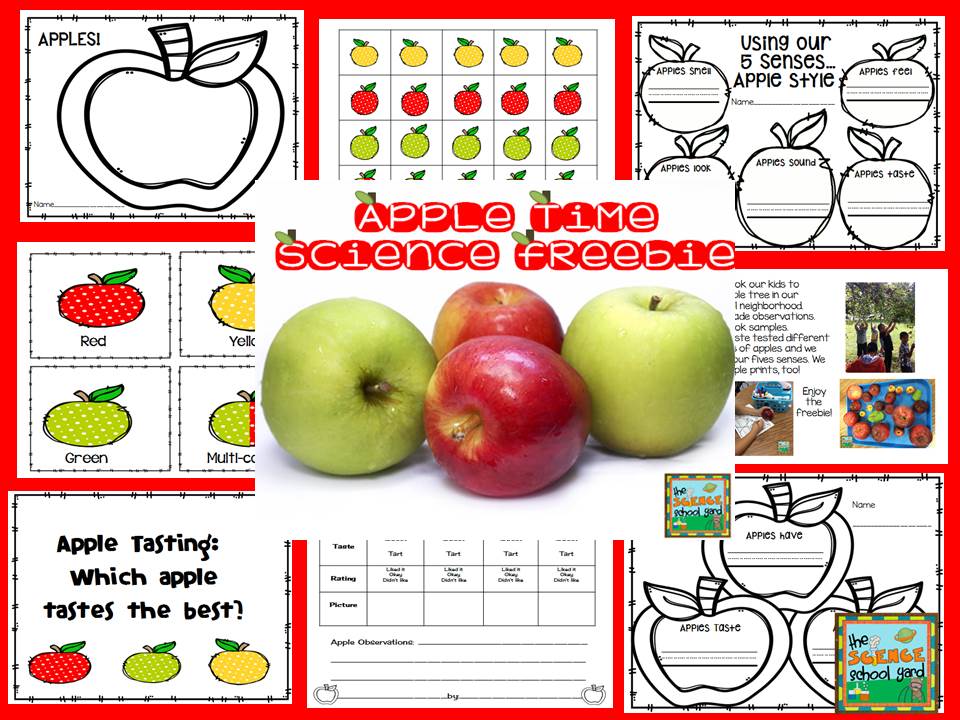 Apple Time in Science Class! The Science School Yard