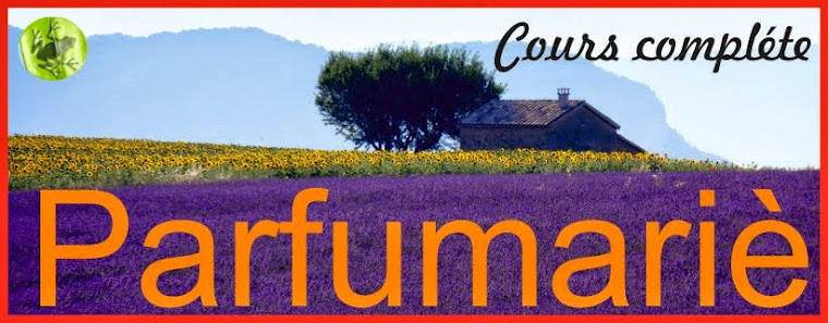 Curso de perfumista