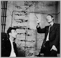 James Watson & Francis Crick 