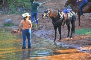 Leading A Horse