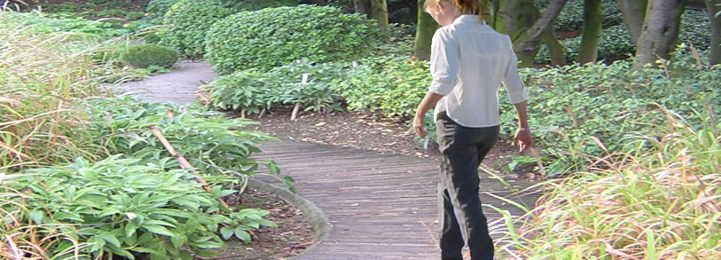 HABITERRA: Paisaje en tu jardín: PARA COMPRENDER EL DISEÑO DE JARDINES