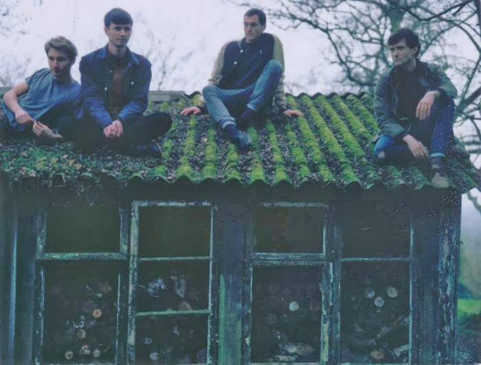 All The Live Long Day Fine Tune Glass Animals Psylla