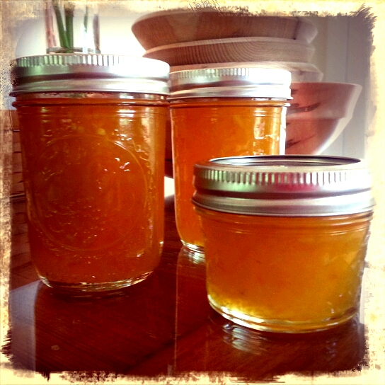 Chef Tony Pisconeri Pineapple Mango Habanero Preserves