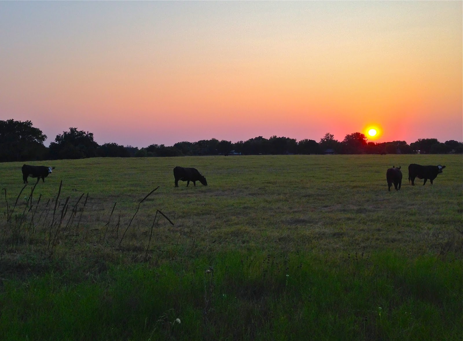 Texas State Parks