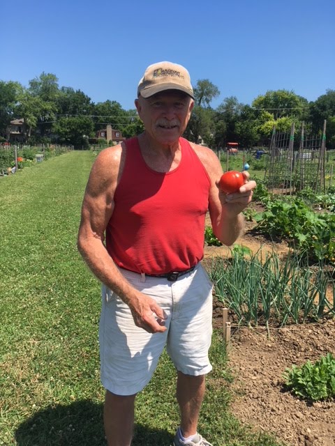 The First Tomato