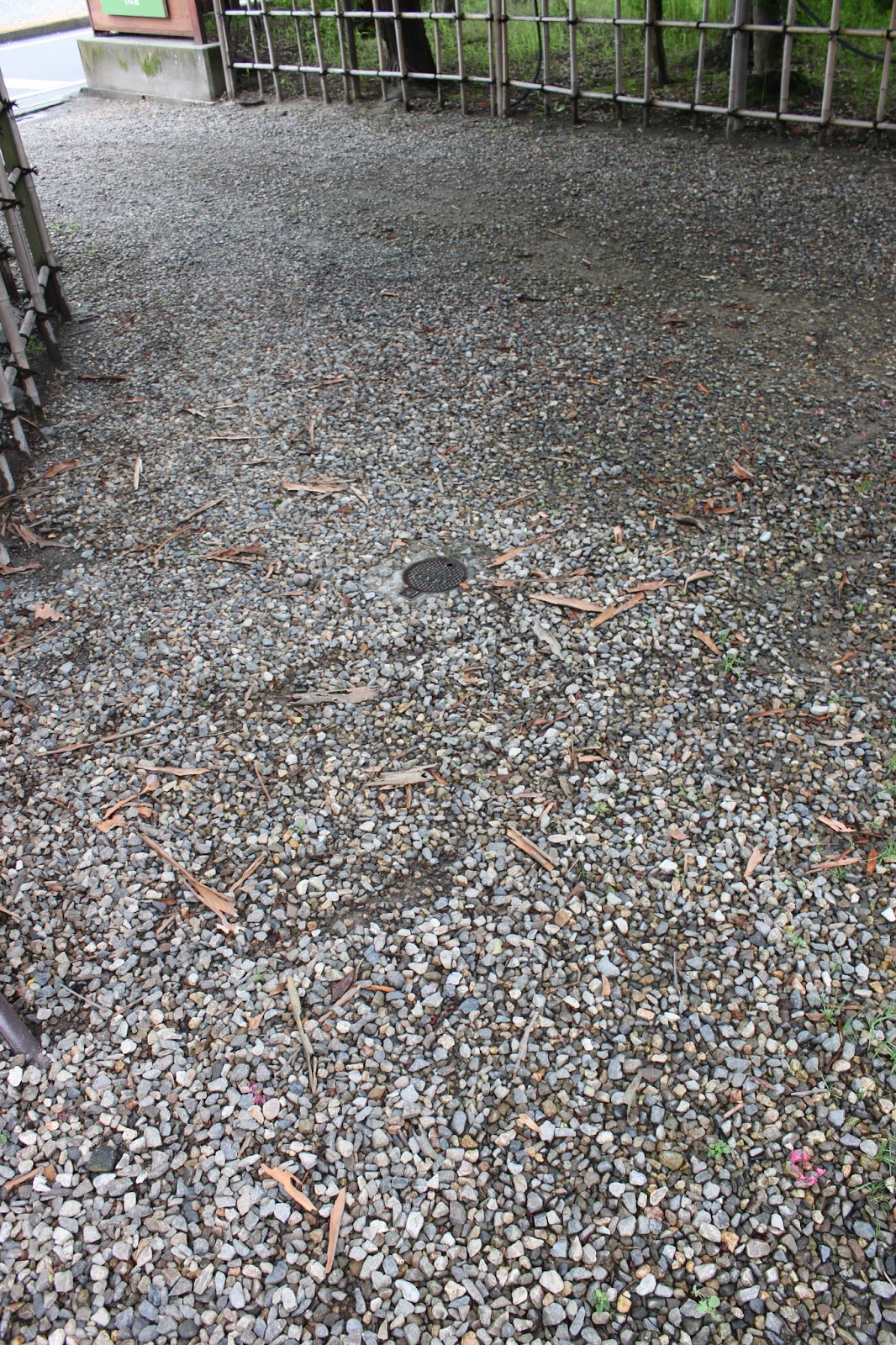 杉浦醫院四方山話 杉浦醫院四方山話 432 さるすべり 百日紅