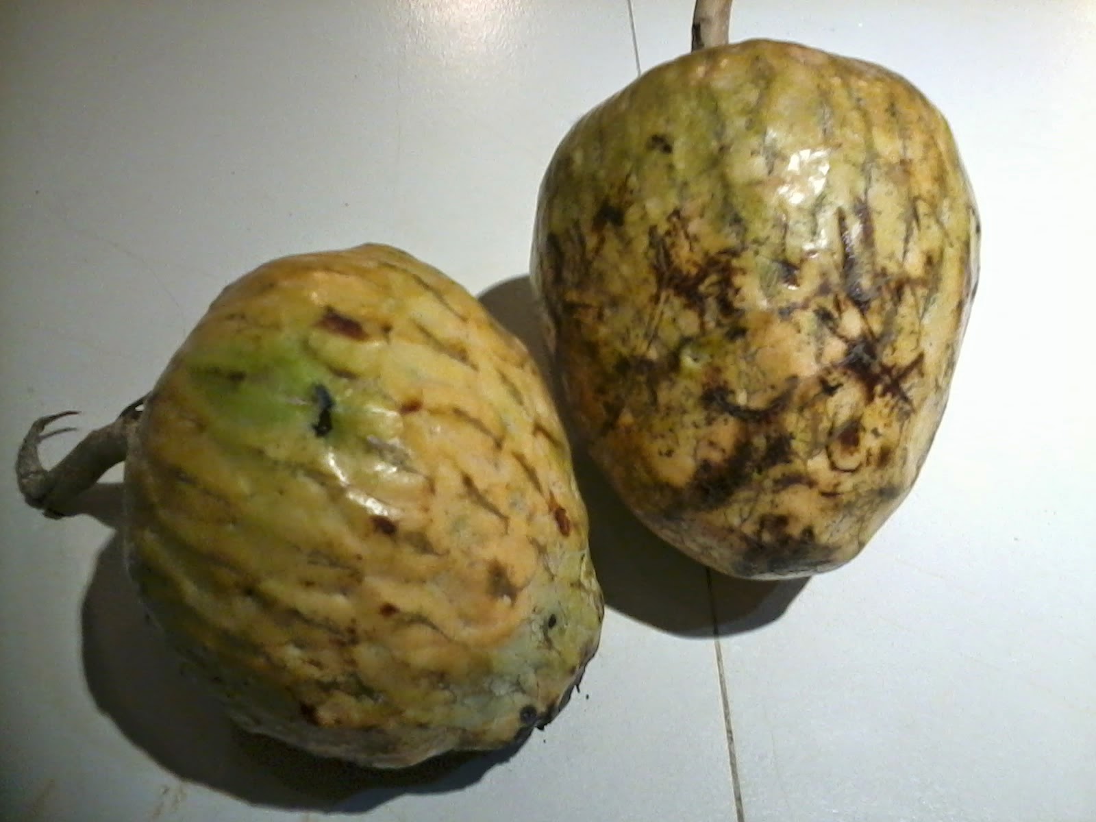 GUIA MEXICO.......... La guía de lugares que DEBES visitar si estas de