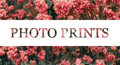 photo prints