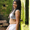 Tamil Telegu Very Hot Girls Wallpaper 1