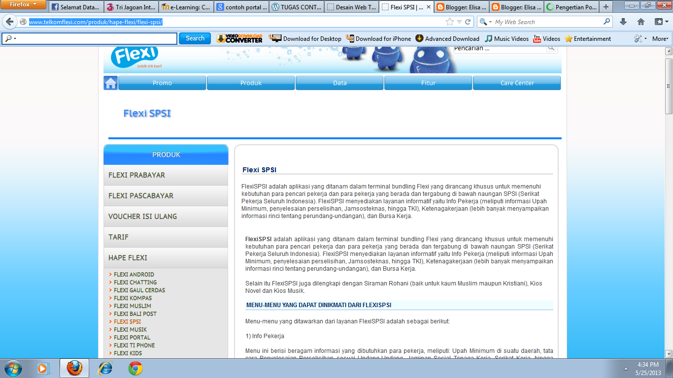 Elisa Silvia Mei 2013