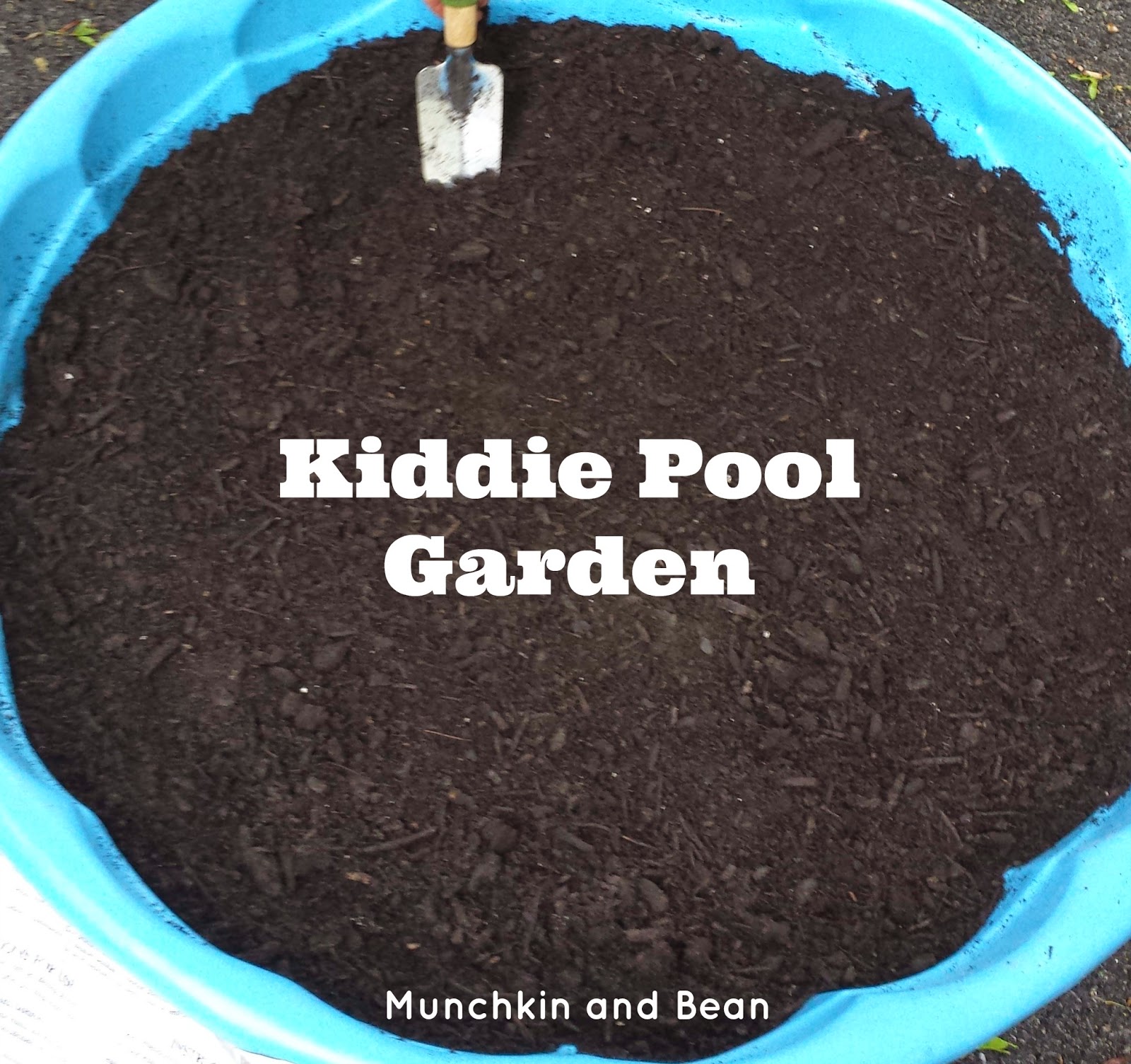 Munchkin and Bean Kiddie Pool Garden