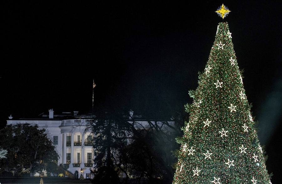 Redefining the Face Of Beauty America's most "beautiful" Christmas Trees