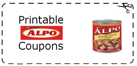 Grocery coupons food network