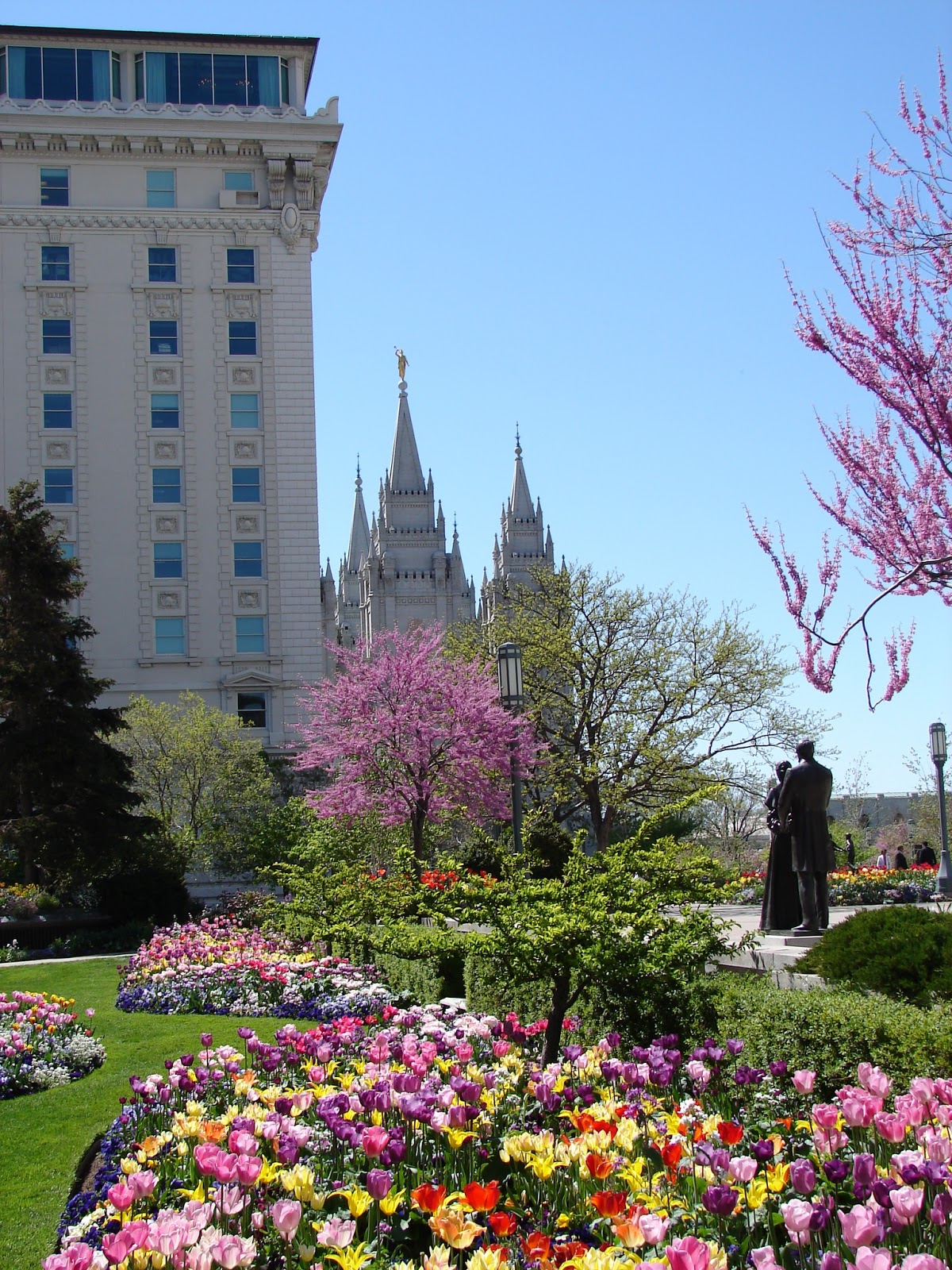 New Utah Gardener Spring Bulbs Are Great For A Waterwise Garden!