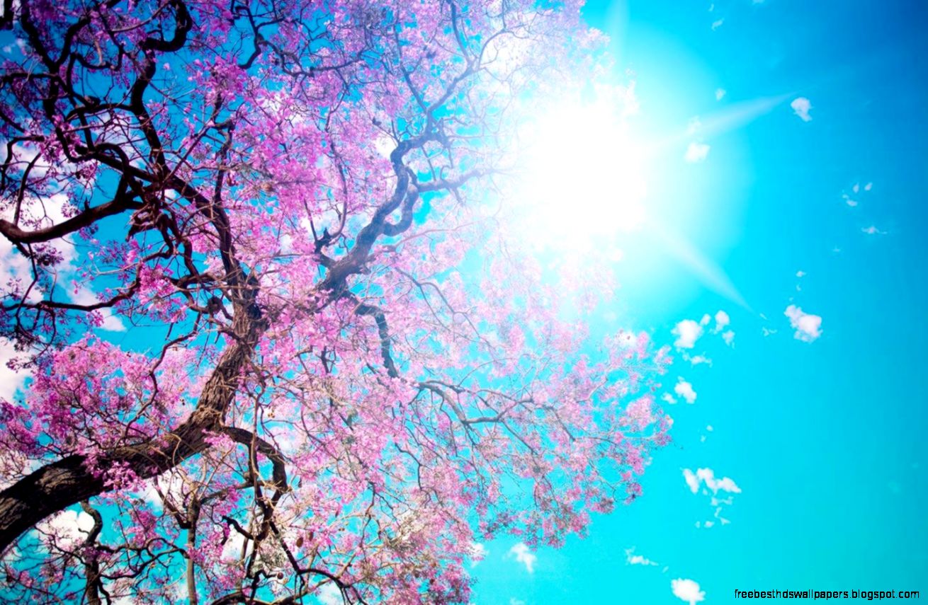 Spring Wallpapers 028 Wallpaper 22929 Walltattosite Spring Wallpapers 028 Wallpaper 22929 Walltattosite