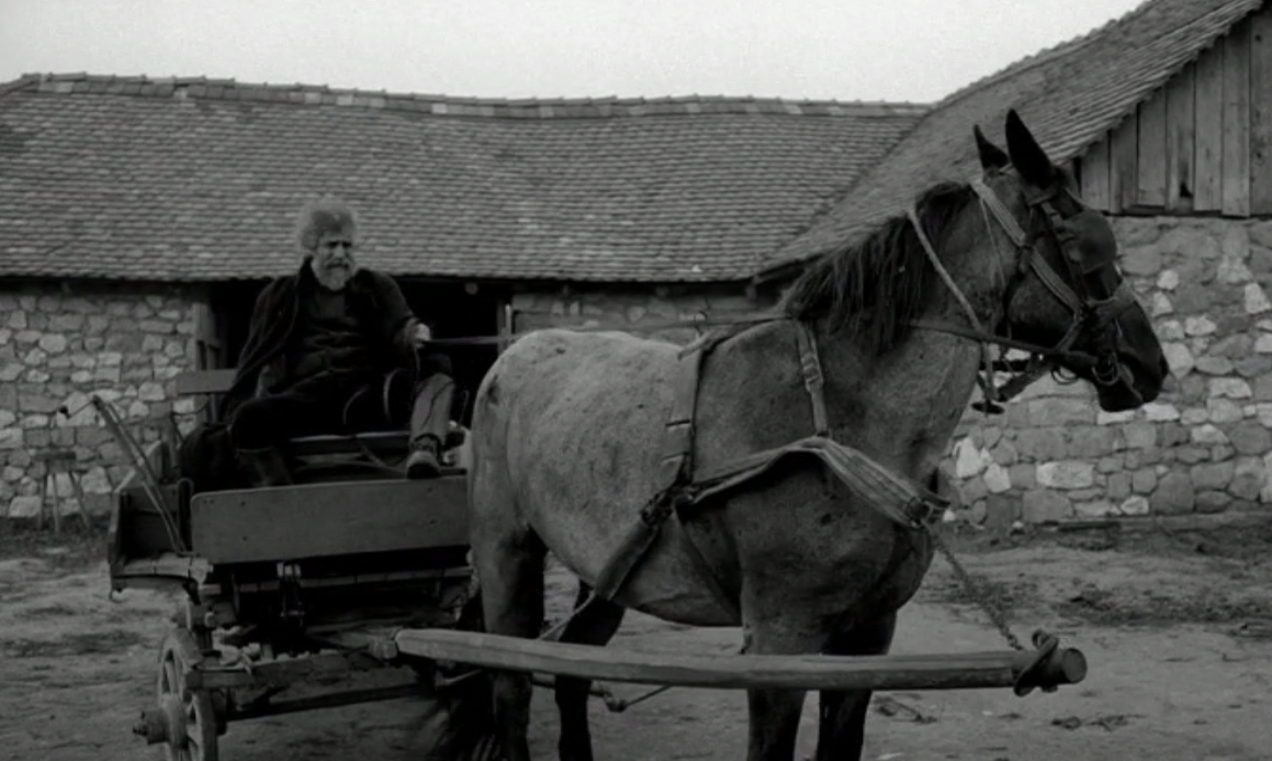 Le Cheval de Turin