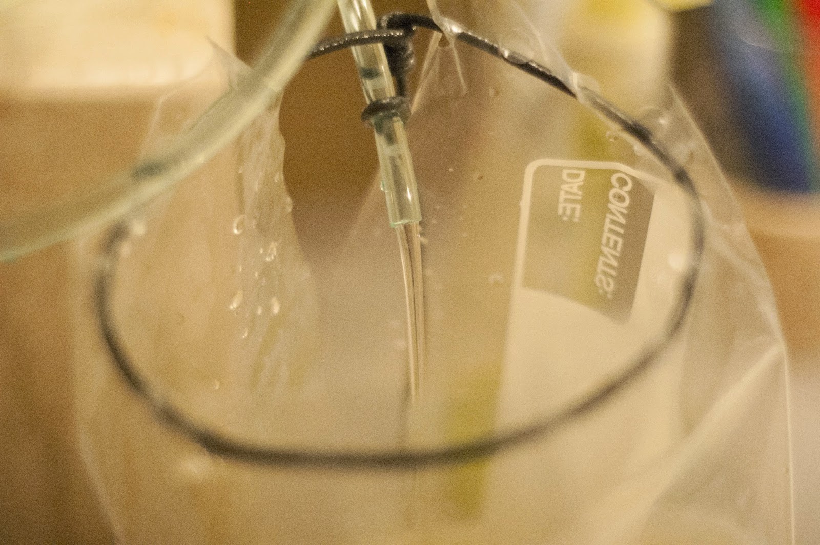 Mom with a Dandelion in Her Hair A Guinea Pig Shower