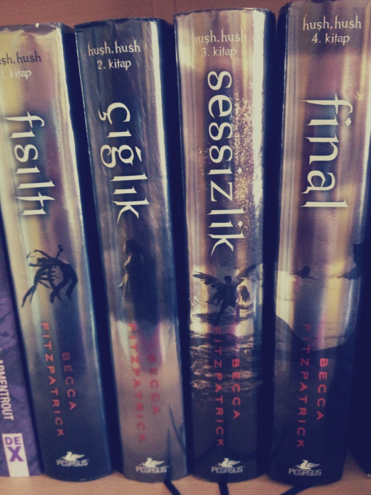 Sessizlik Hush Hush Serisi 3 Kitap Becca Fitzpatrick Fiyati Satin Al Idefix
