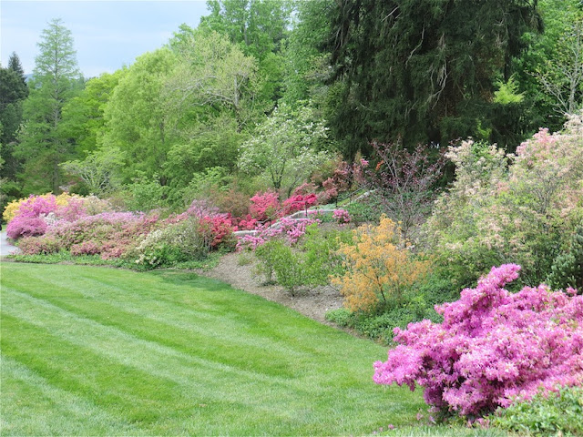 Traveling Roadmantics: Maryville, Tennessee to Ashville, North Carolina