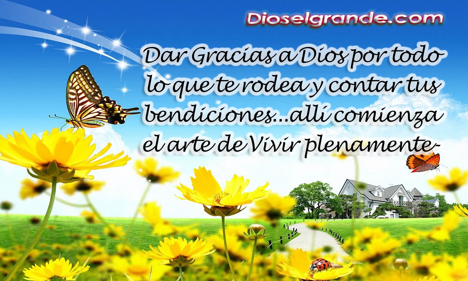 Gracias A Dios Quotes. QuotesGram
