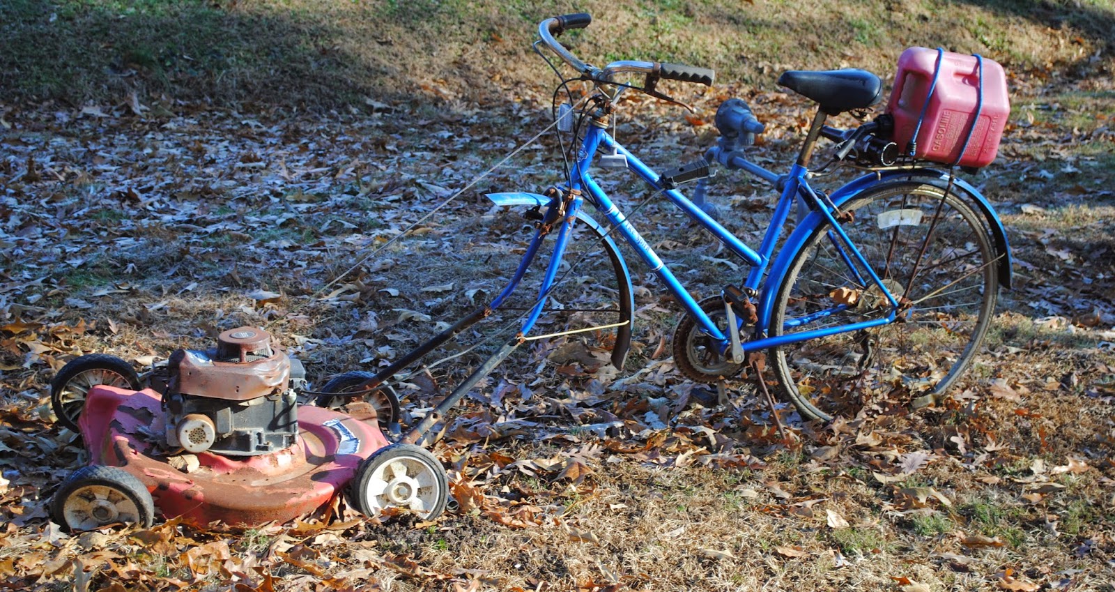 The Carpetbagger The Hillbilly Gardens