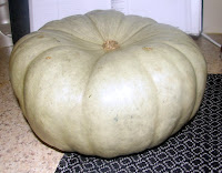 Pumpkin Carving Preserving