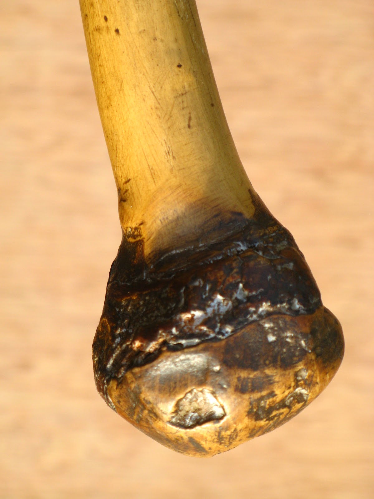 The Slow Adventure MAKING WALKING STICKS