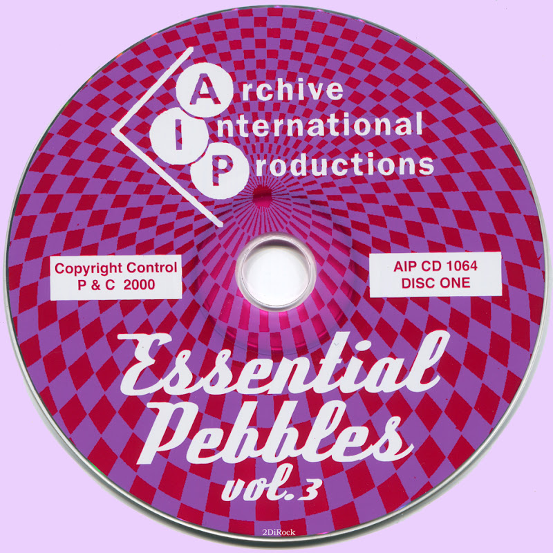 Various Pebbles Vol 20 The Continent Lashes Back European Garage Rock Part 4 Various Pebbles Vol 20 The Continent Lashes Back European Garage Rock Part 4