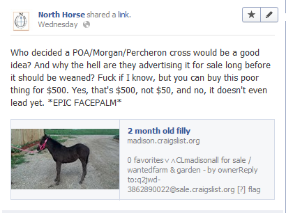 North Horse 06 28 13