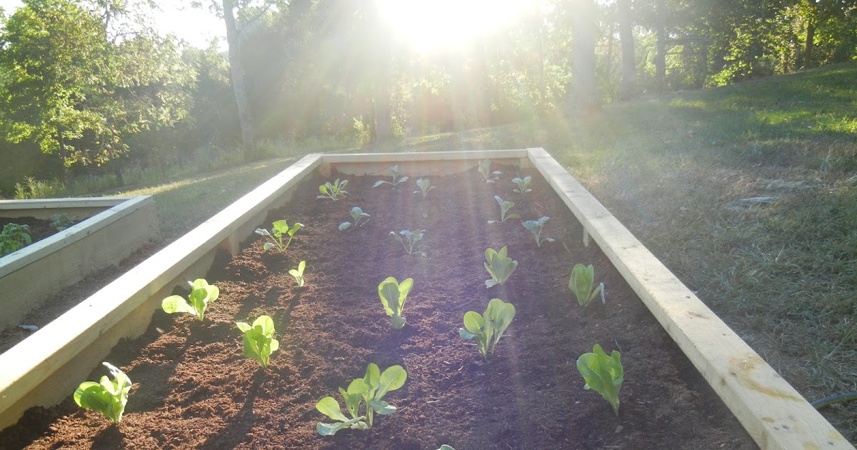 Big Happy Nest Building Raised Beds