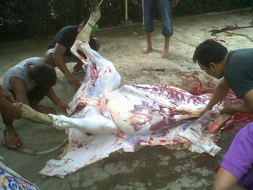 Qurban Yamsik - Happy Eid Al-Adha 1432 H