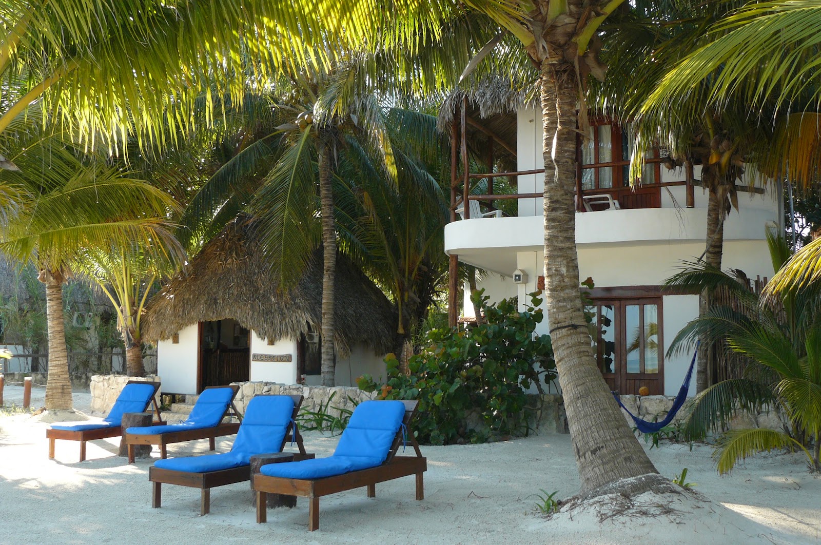 Riviera Maya Real Estate News Career Change? Lifestyle Change? Want to