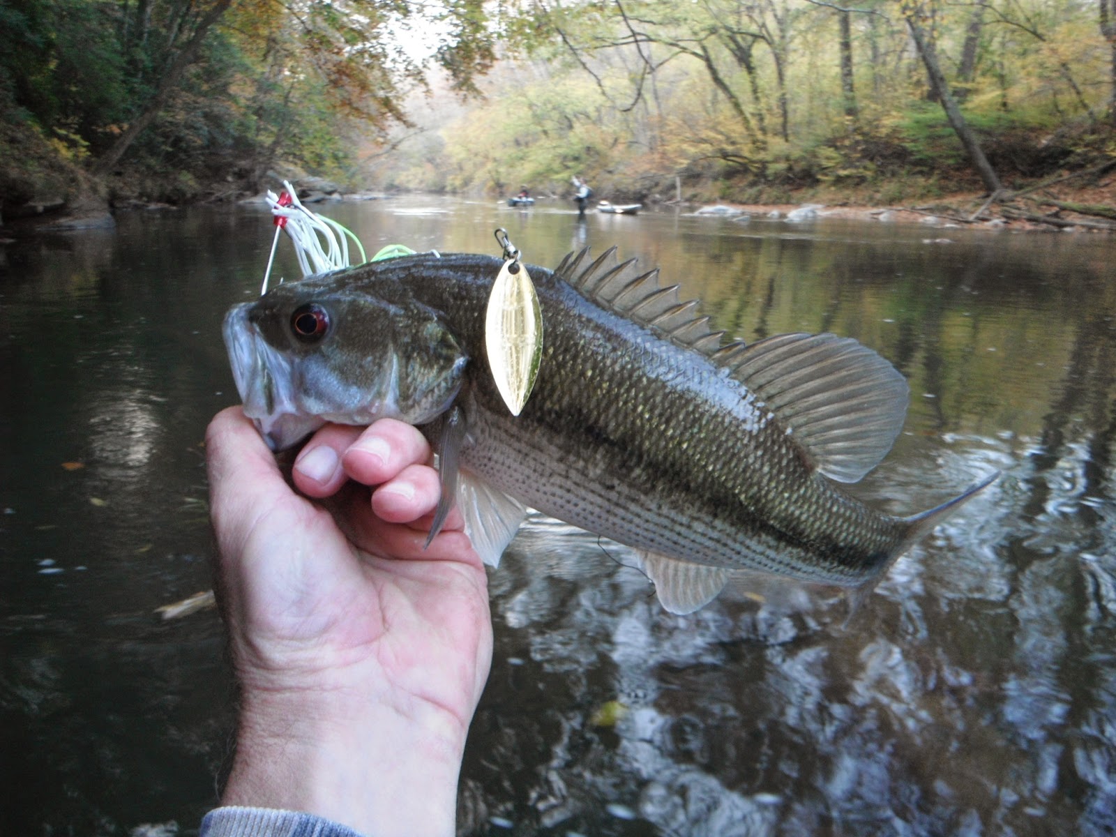 North Carolina River Fishing and Canoeing with Mack Yadkin Float
