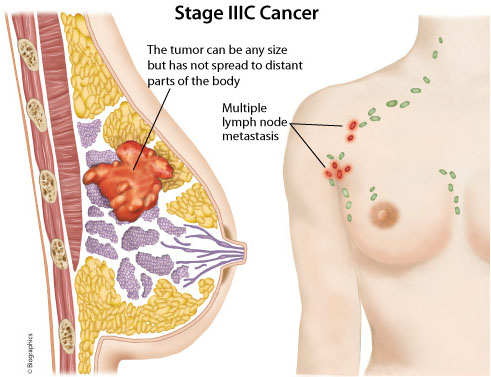 Not Jenn's Cup of Tea: January 2012