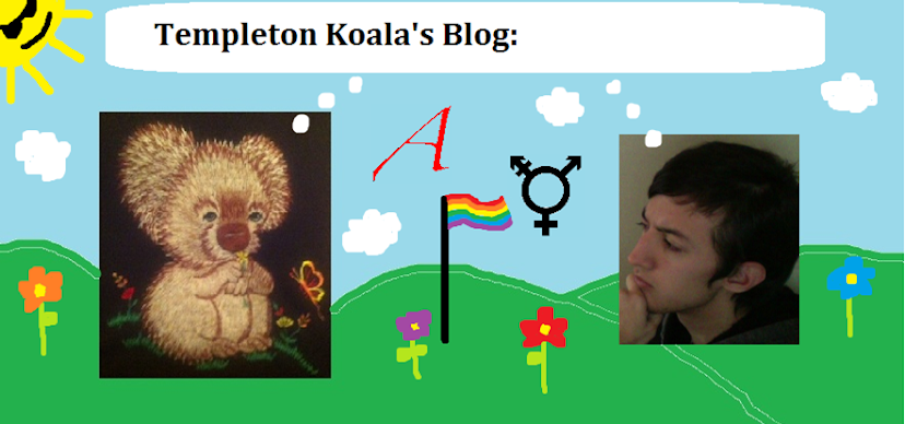 Templeton Koala's Blog