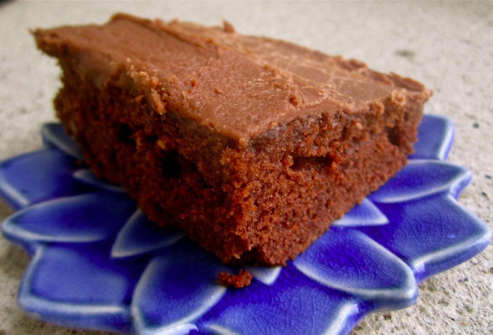 Stephanie Cooks Texas Fudge Cake