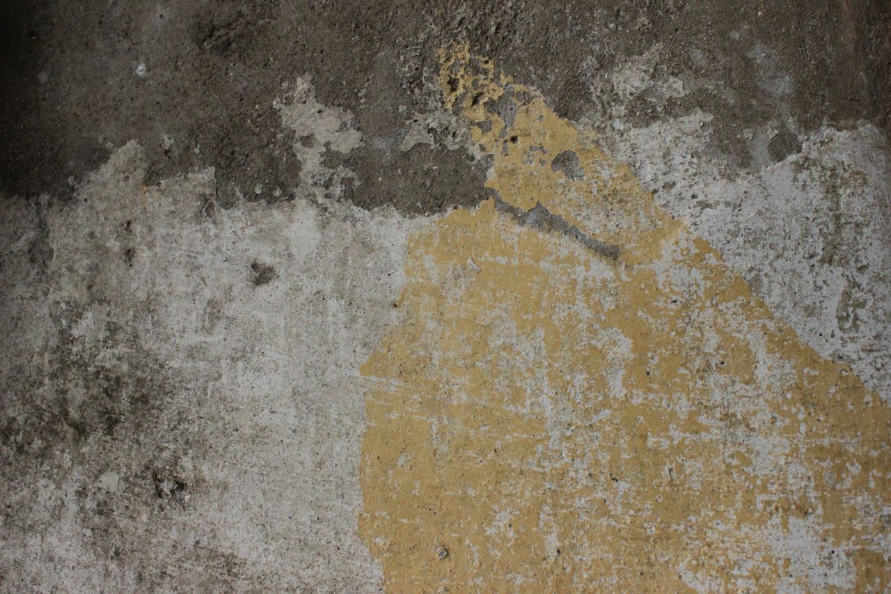 Afternibbin bare plaster walls