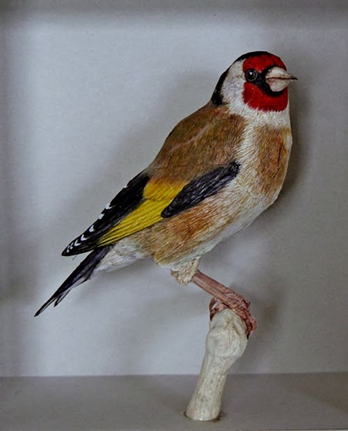 07-Goldfinch-Johan-Scherft-Living-Paper-Birds-Sculptures-Watercolours-www-designstack-co
